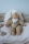Schlummerchen camel mit Blümchenmütze und Halstuch 32 cm